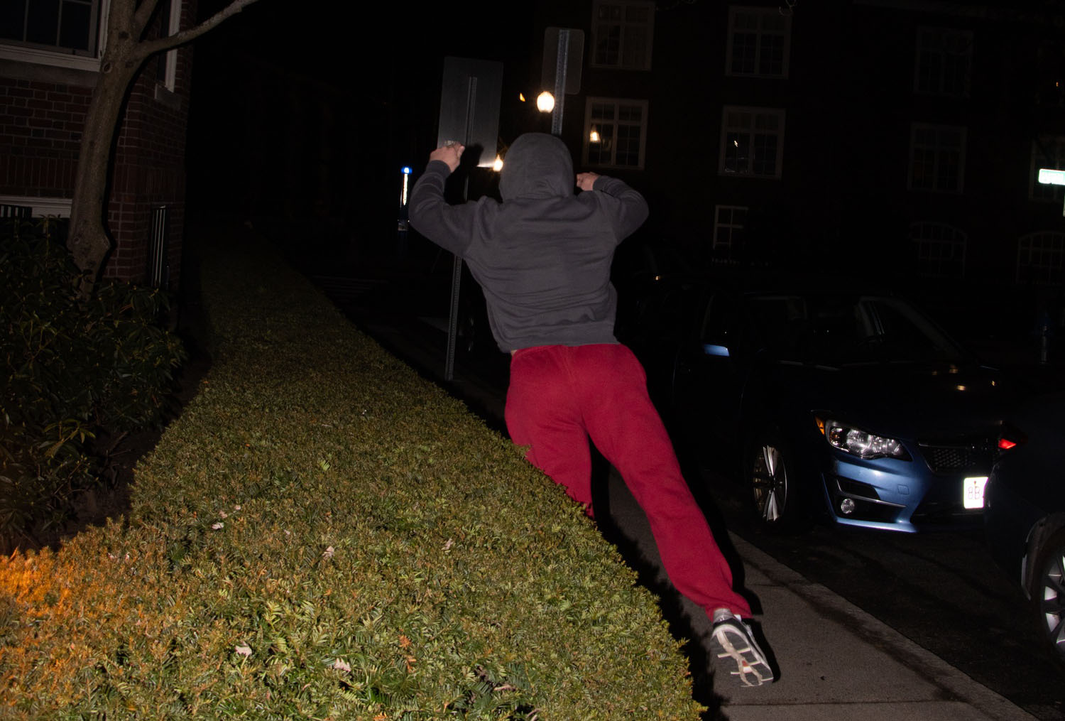 Wyatt G. Croog, a Crimson Flyby writer, jumps into a bush outside of Hurlbut Hall. Croog explored the new trend of "bush jumping" in a piece that documented the experience of jumping into different bushes around campus.